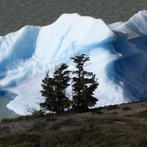 Iceberg in the Lago Grey